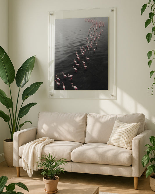 Flamingo 1